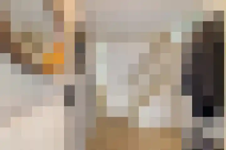 R. Schumanstraat 9 Groningen thumbnail 6
