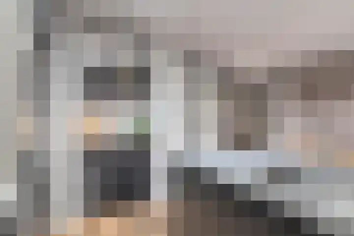 R. Snellius van Rooijenstraat 3 Oudewater thumbnail 10