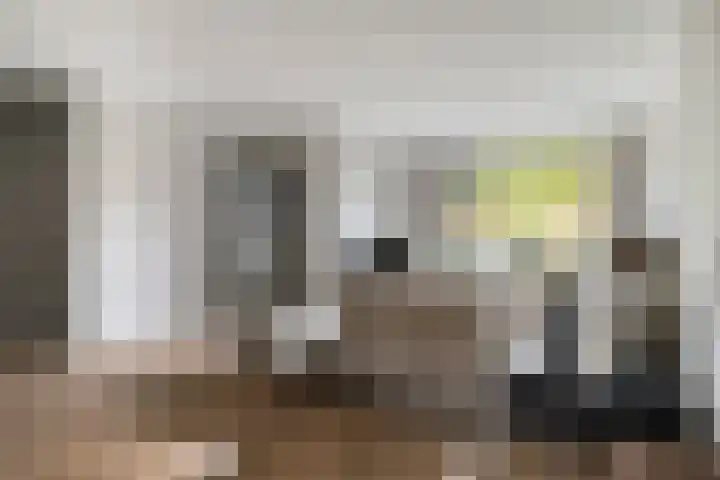R. Snellius van Rooijenstraat 3 Oudewater thumbnail 4