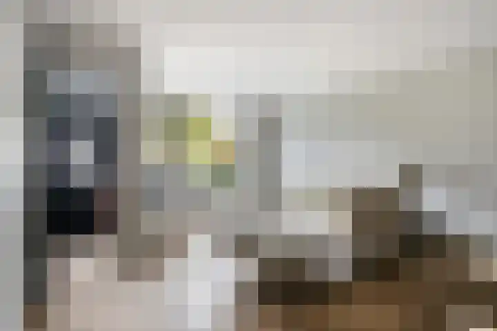 R. Snellius van Rooijenstraat 3 Oudewater thumbnail 5