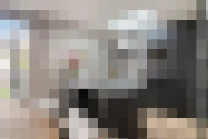 R. Snellius van Rooijenstraat 3 Oudewater thumbnail 7
