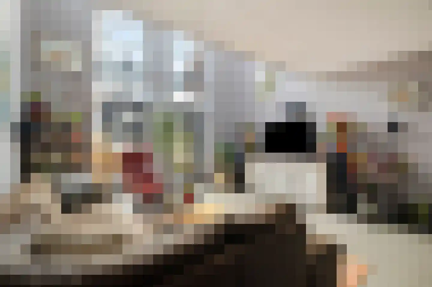 R.W. van de Wintstraat 15 Huisduinen thumbnail 10