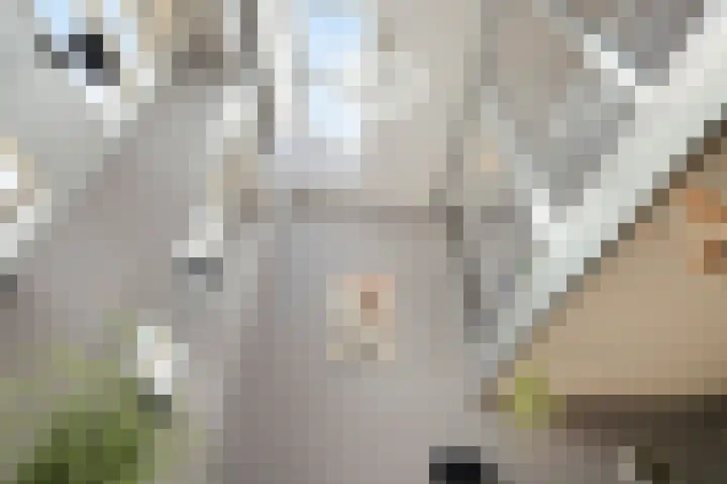 R.W. van de Wintstraat 15 Huisduinen thumbnail 12