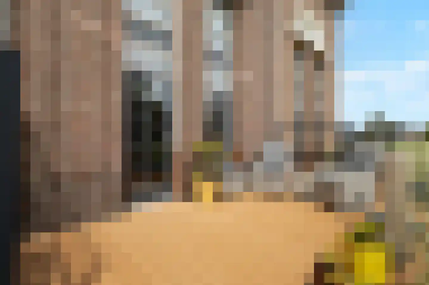 R.W. van de Wintstraat 15 Huisduinen thumbnail 14