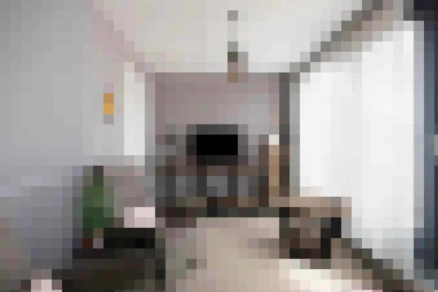 R.W. van de Wintstraat 15 Huisduinen thumbnail 30