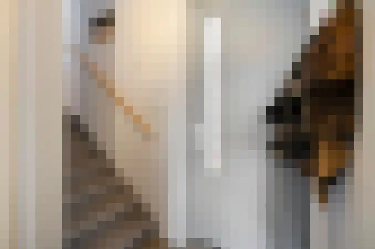 R.W. van de Wintstraat 15 Huisduinen thumbnail 8