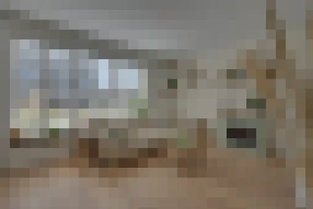 R.W. van de Wintstraat 20 Huisduinen thumbnail 15