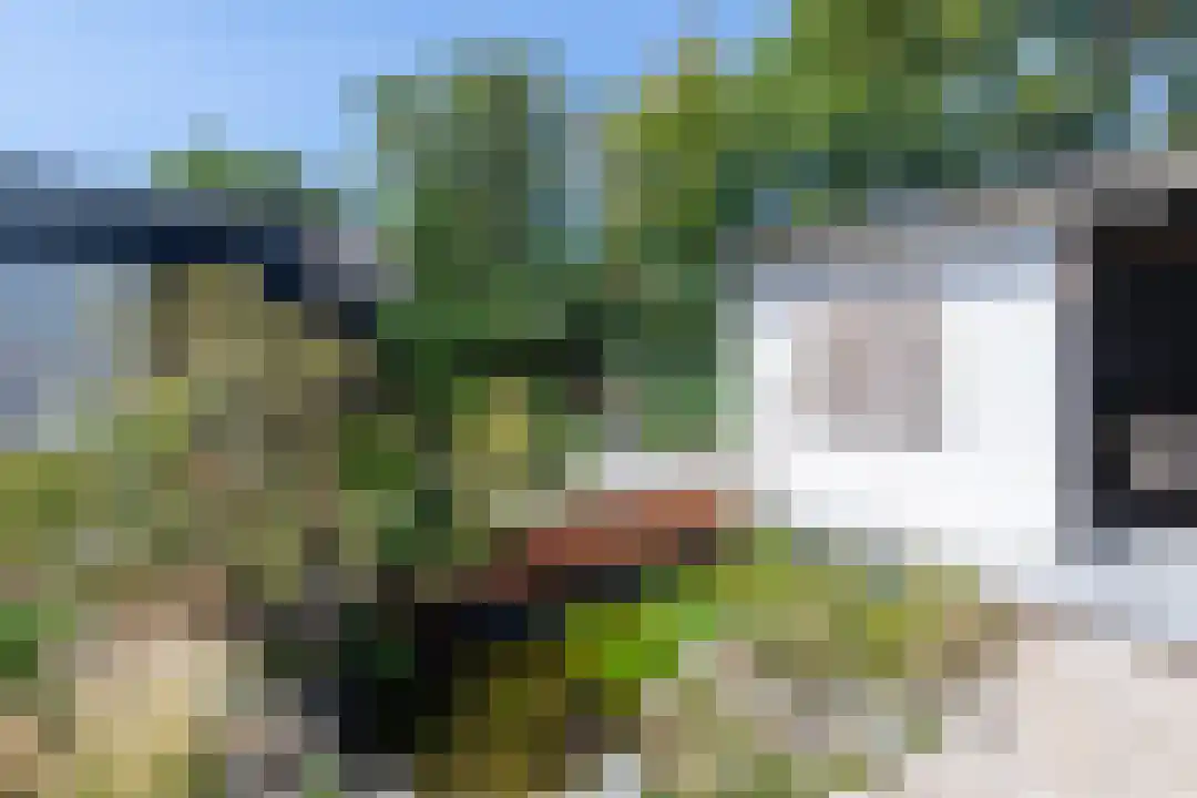 R.W. van de Wintstraat 20 Huisduinen thumbnail 21