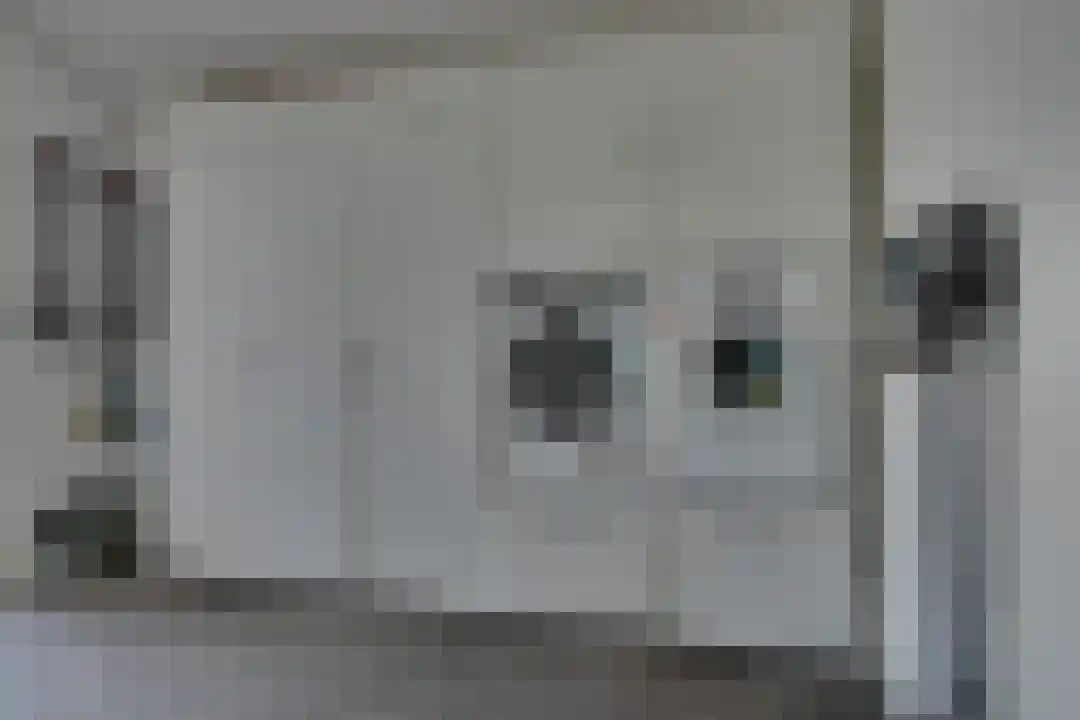 R.W. van de Wintstraat 20 Huisduinen thumbnail 27
