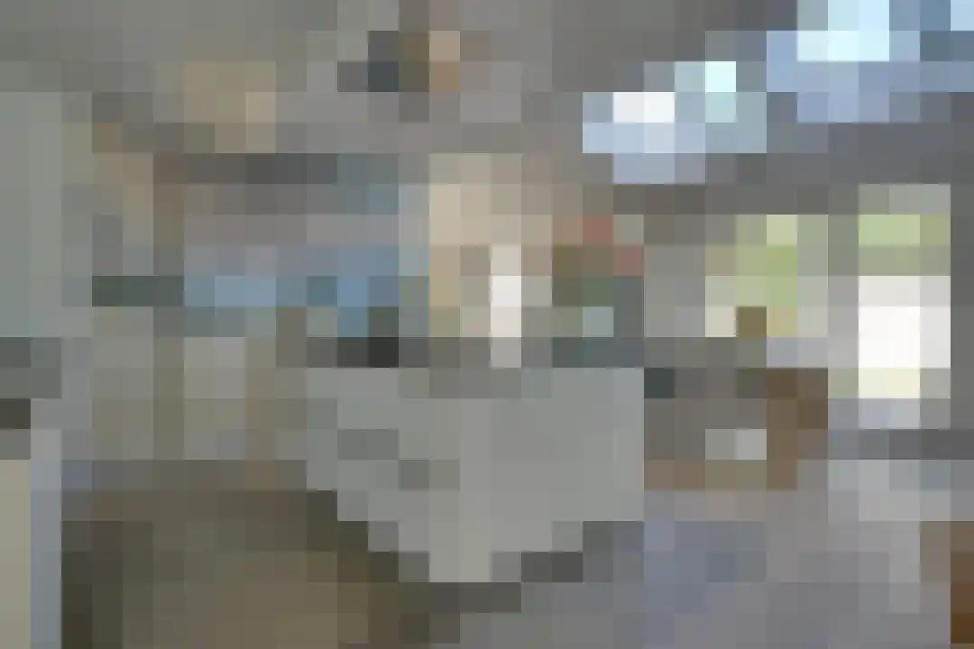 R.W. van de Wintstraat 20 Huisduinen thumbnail 4