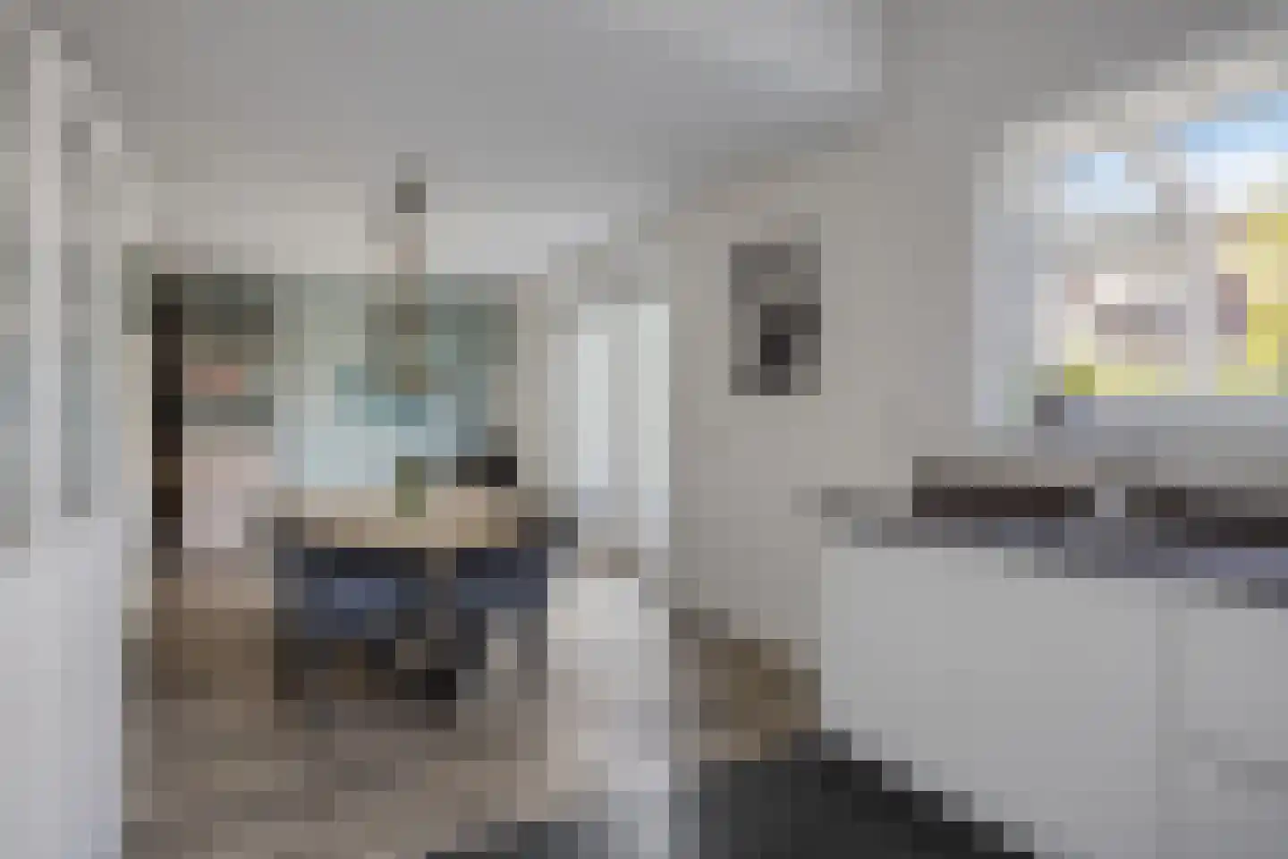 R.W. van de Wintstraat 26 Huisduinen thumbnail 10