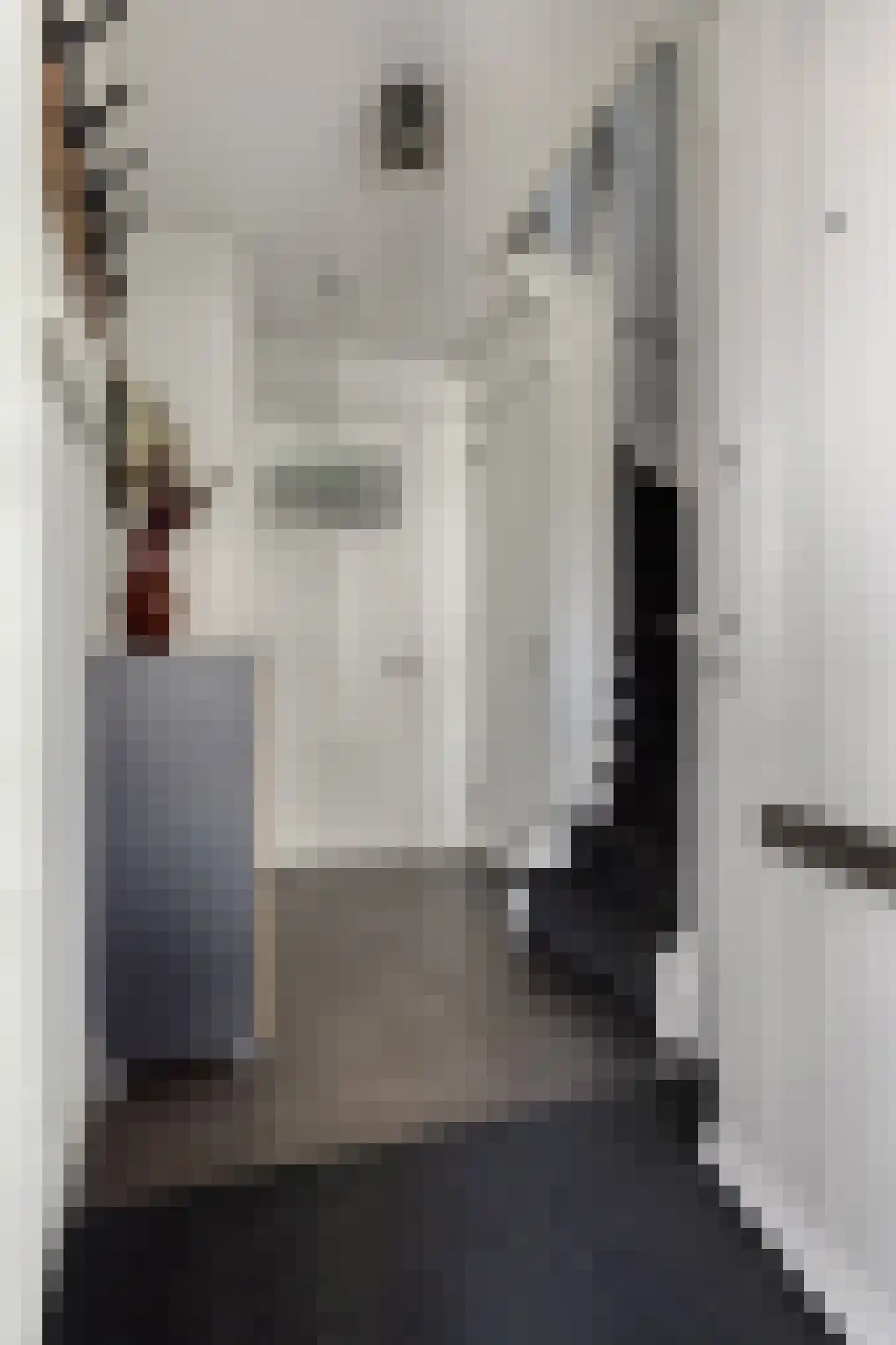 R.W. van de Wintstraat 26 Huisduinen thumbnail 15