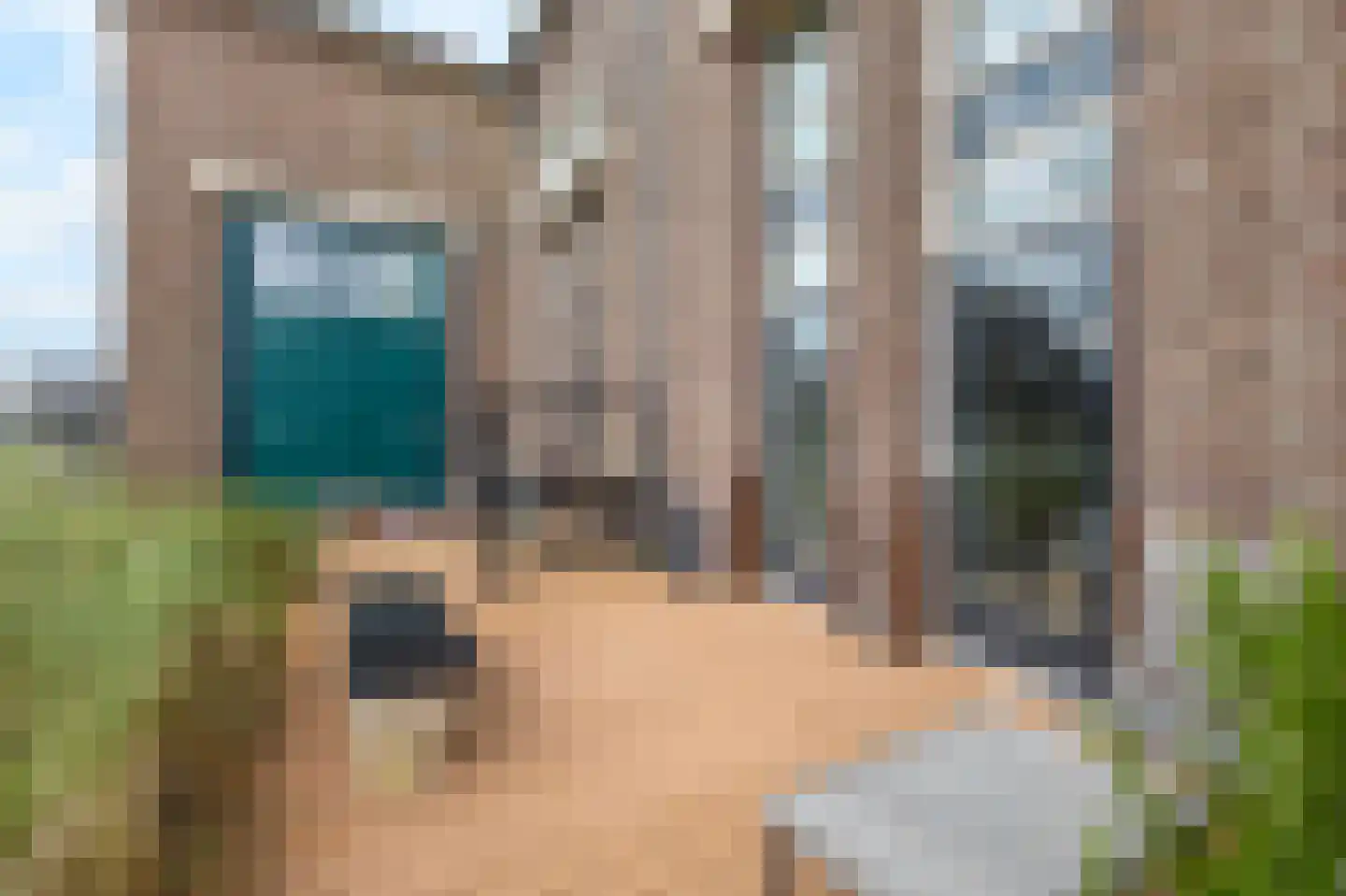 R.W. van de Wintstraat 3 Huisduinen thumbnail 9