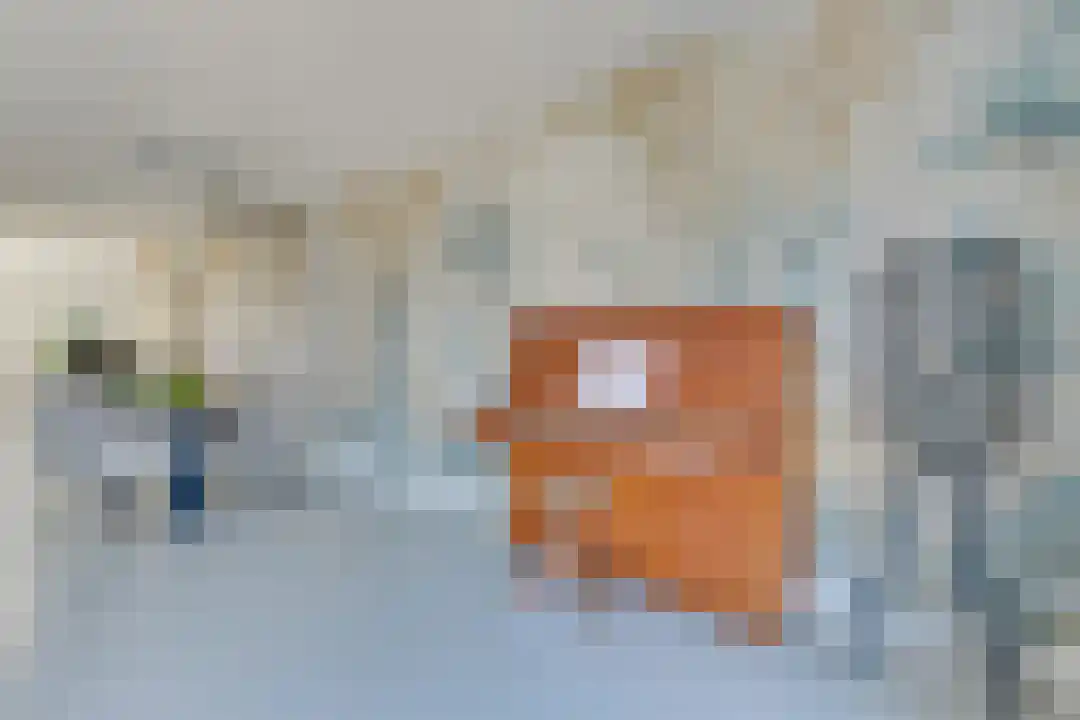 R.W. van de Wintstraat 6 Huisduinen thumbnail 10