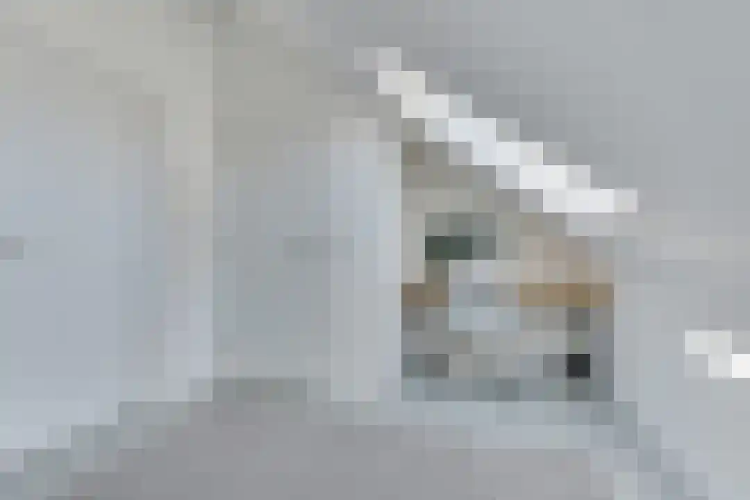 R.W. van de Wintstraat 6 Huisduinen thumbnail 41