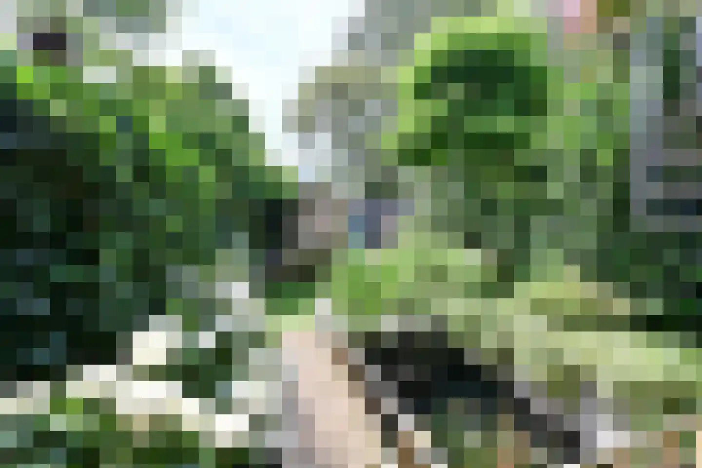 Ra 10 Huizen thumbnail 17