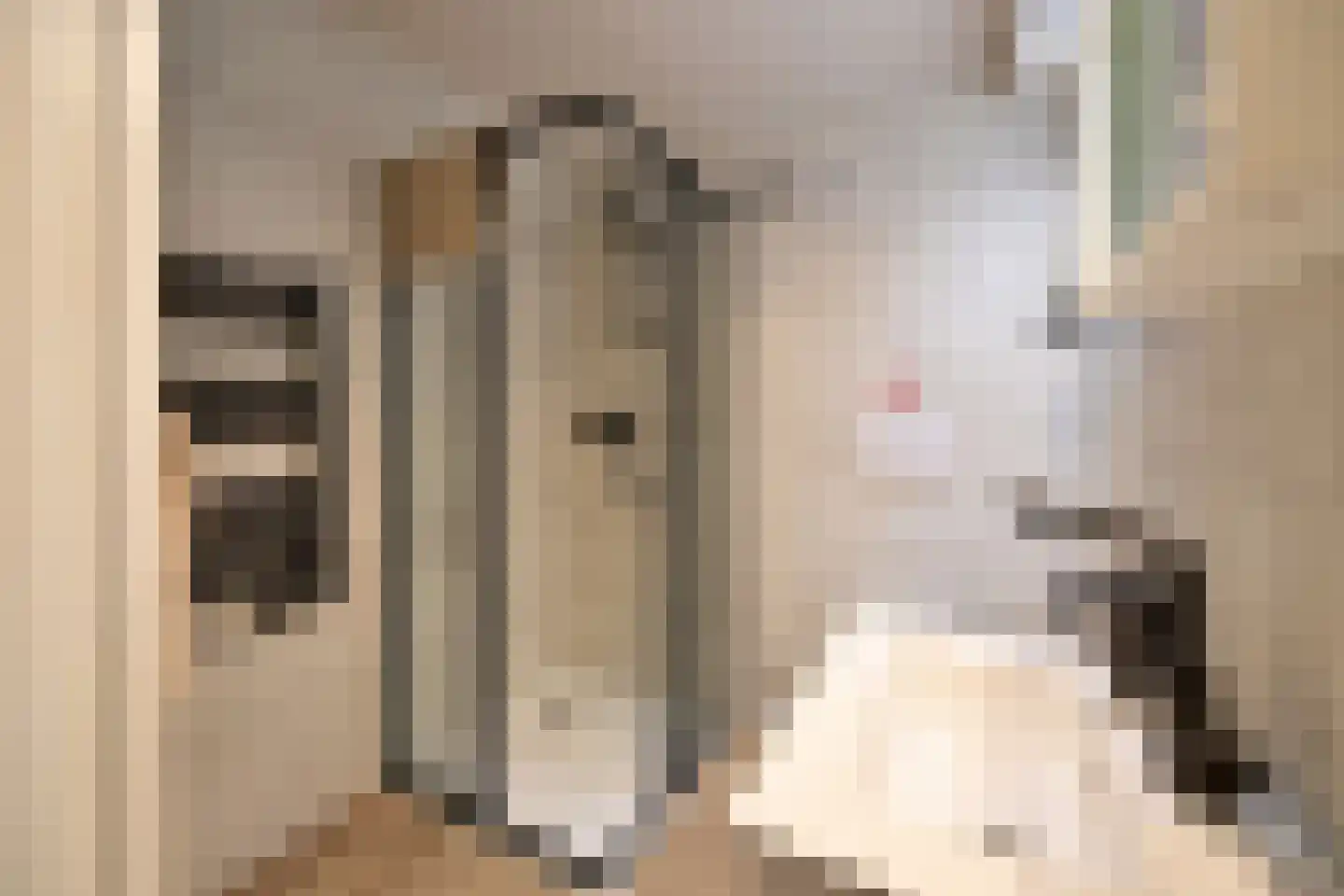 Ra 10 Huizen thumbnail 20