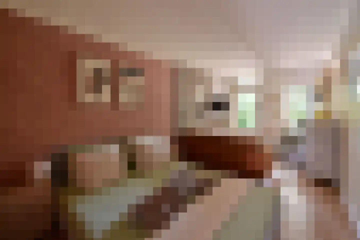 Ra 10 Huizen thumbnail 22