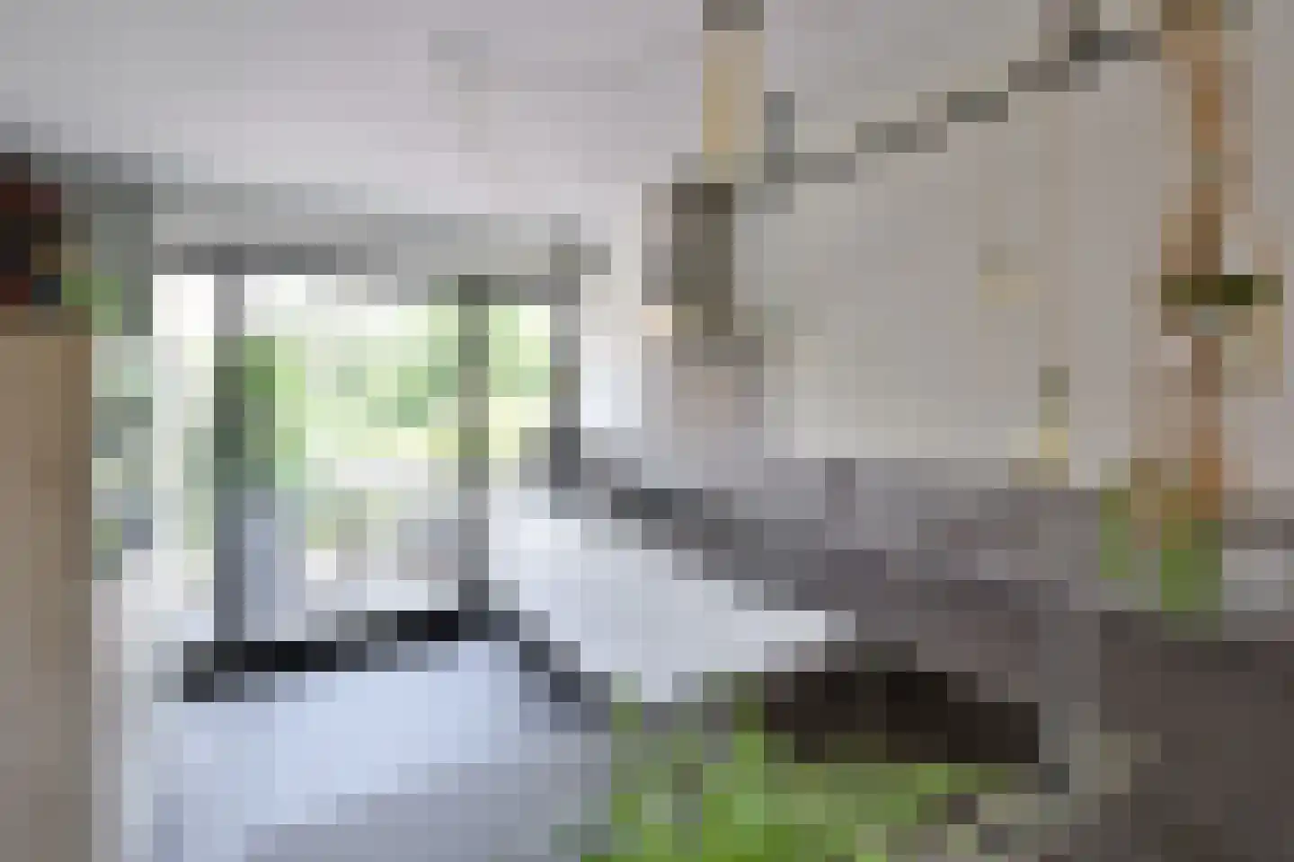 Ra 10 Huizen thumbnail 5