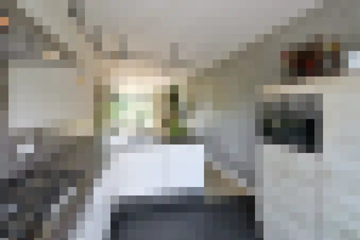 Ra 10 Huizen thumbnail 6