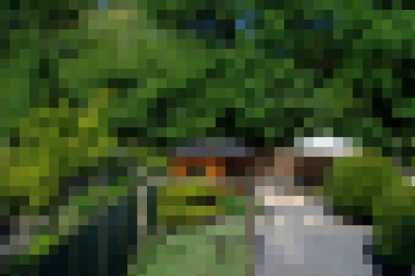Raad van Europalaan 39 Delft thumbnail 15