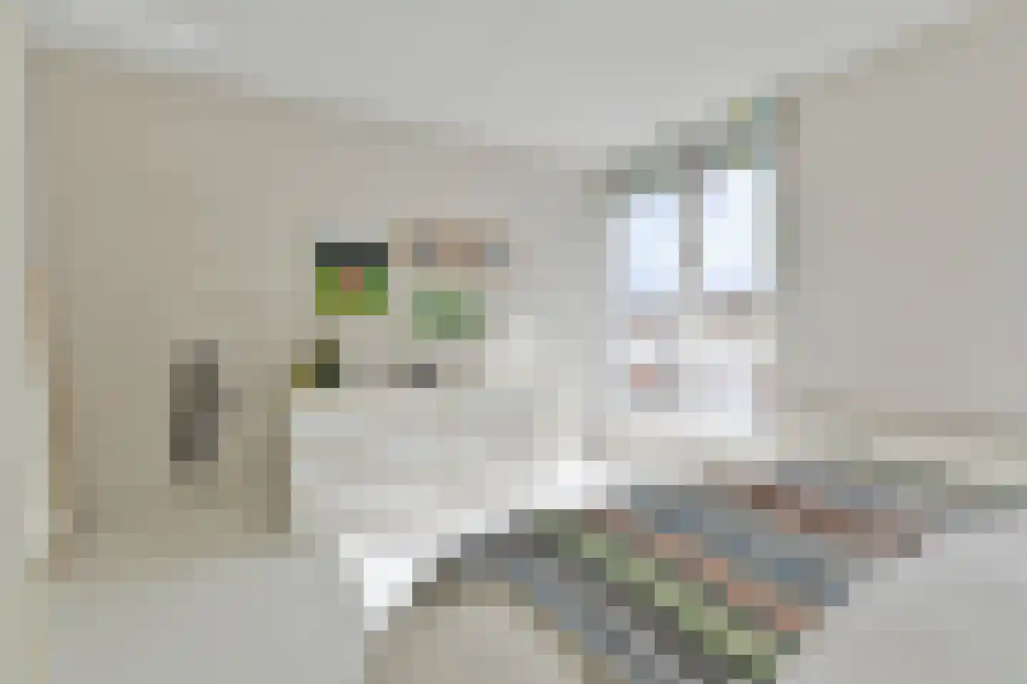 Raad van Europalaan 39 Delft thumbnail 17