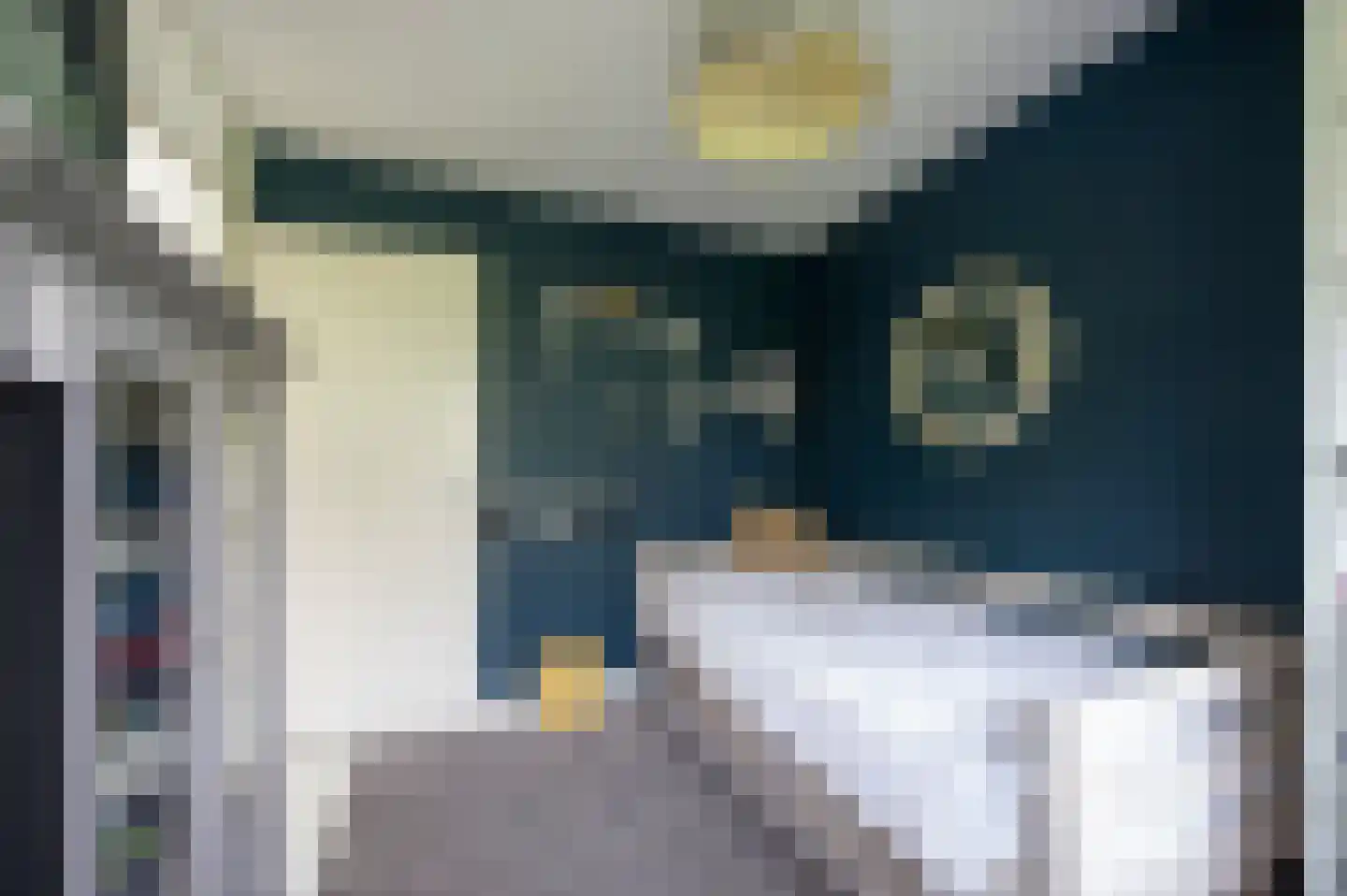 Raad van Europalaan 39 Delft thumbnail 21