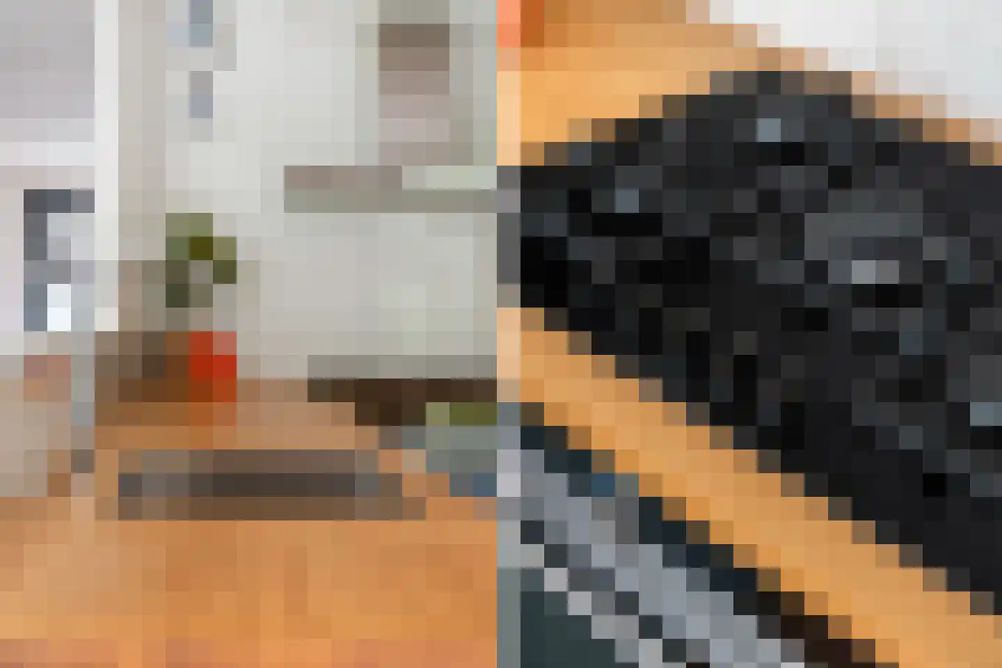 Raad van Europalaan 41 Delft thumbnail 20