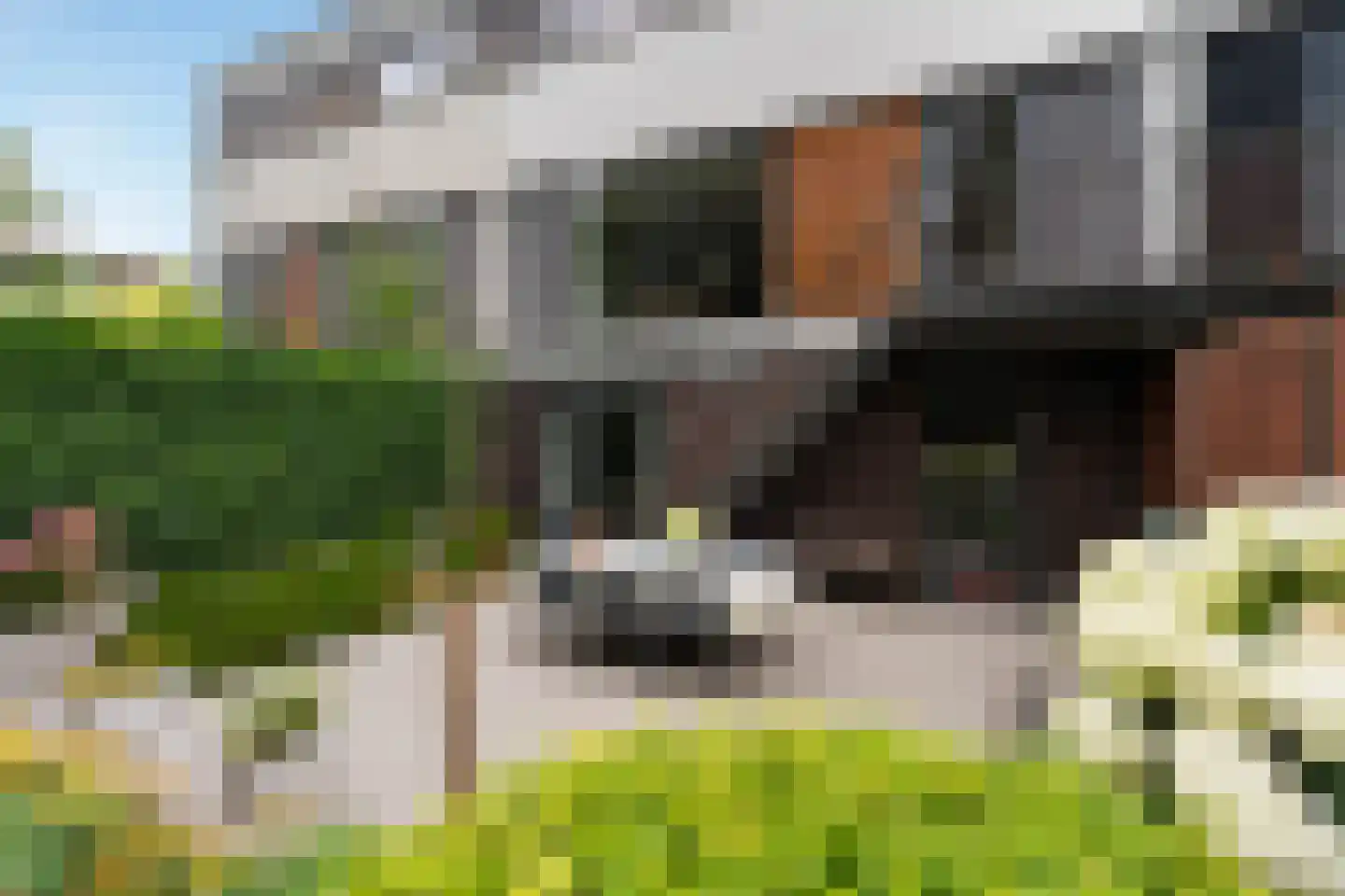Raad van Europalaan 41 Delft thumbnail 26