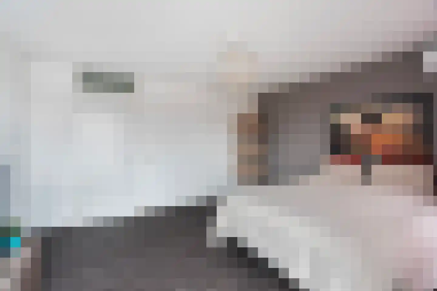 Raad van Europalaan 41 Delft thumbnail 39