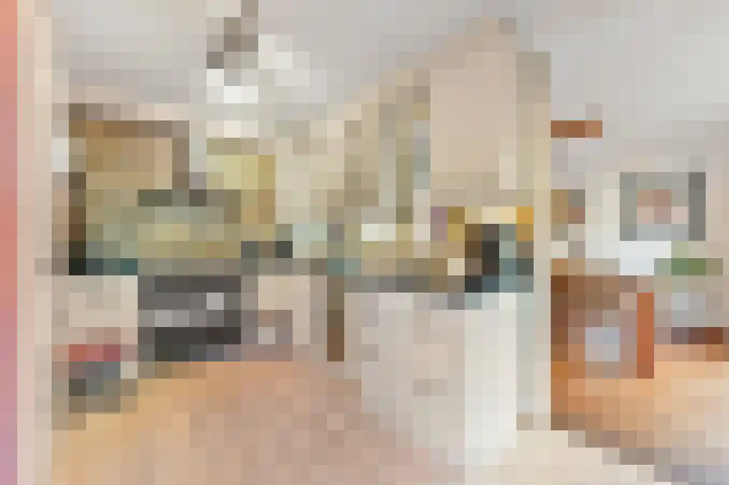 Raad van Europalaan 43 Delft thumbnail 11