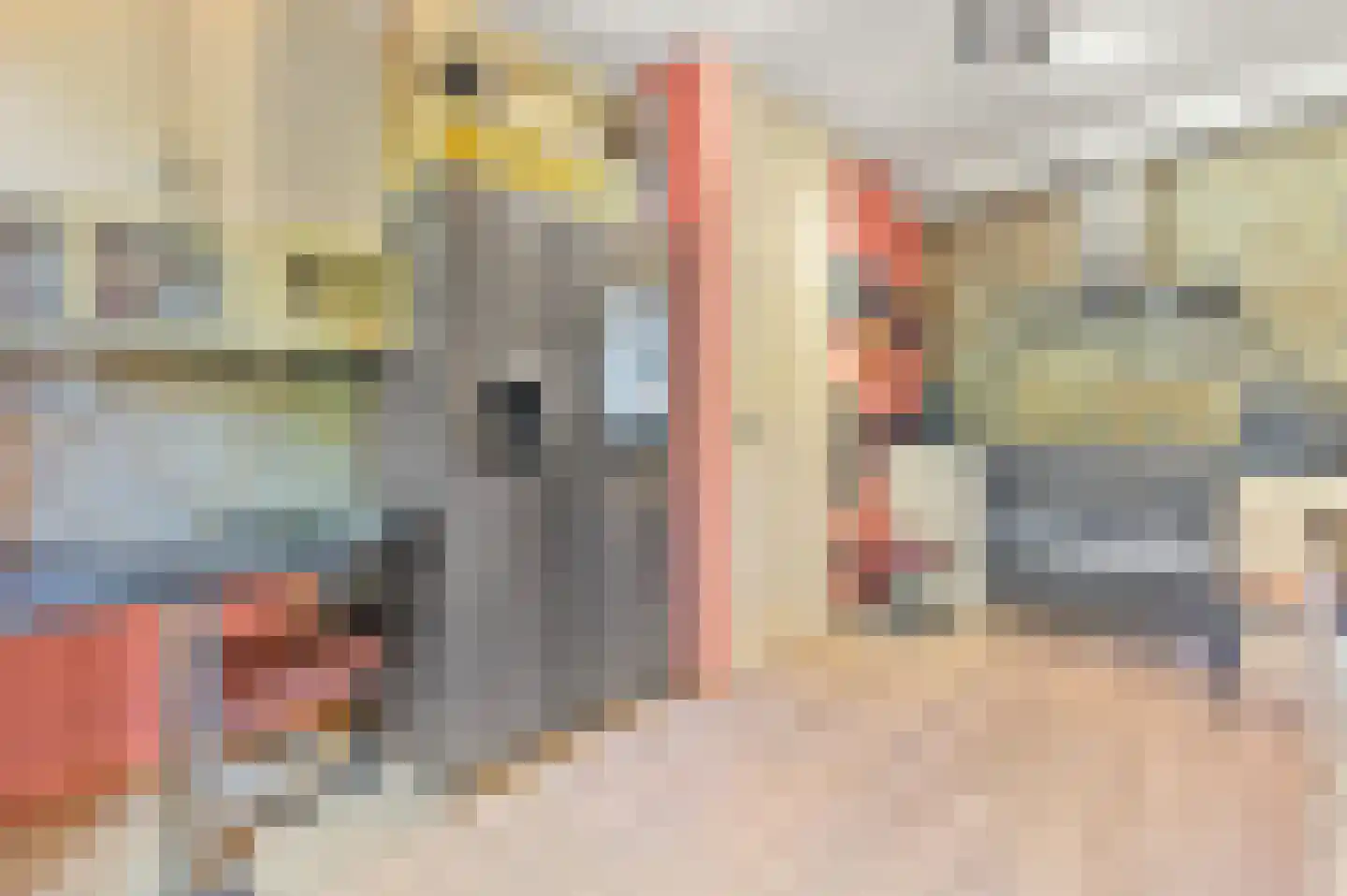 Raad van Europalaan 43 Delft thumbnail 13