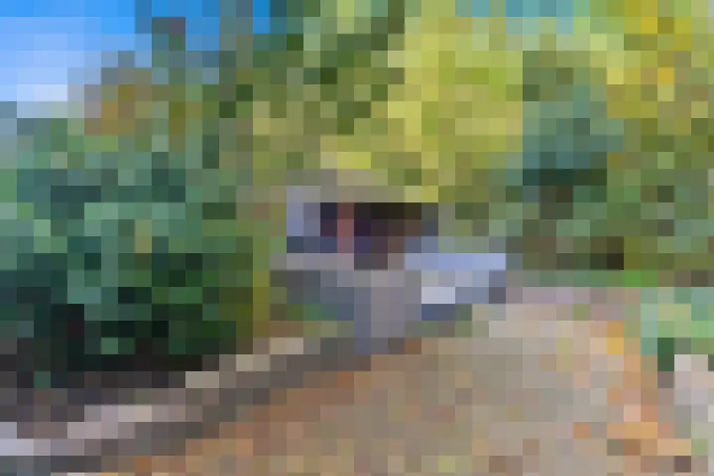 Raad van Europalaan 43 Delft thumbnail 16