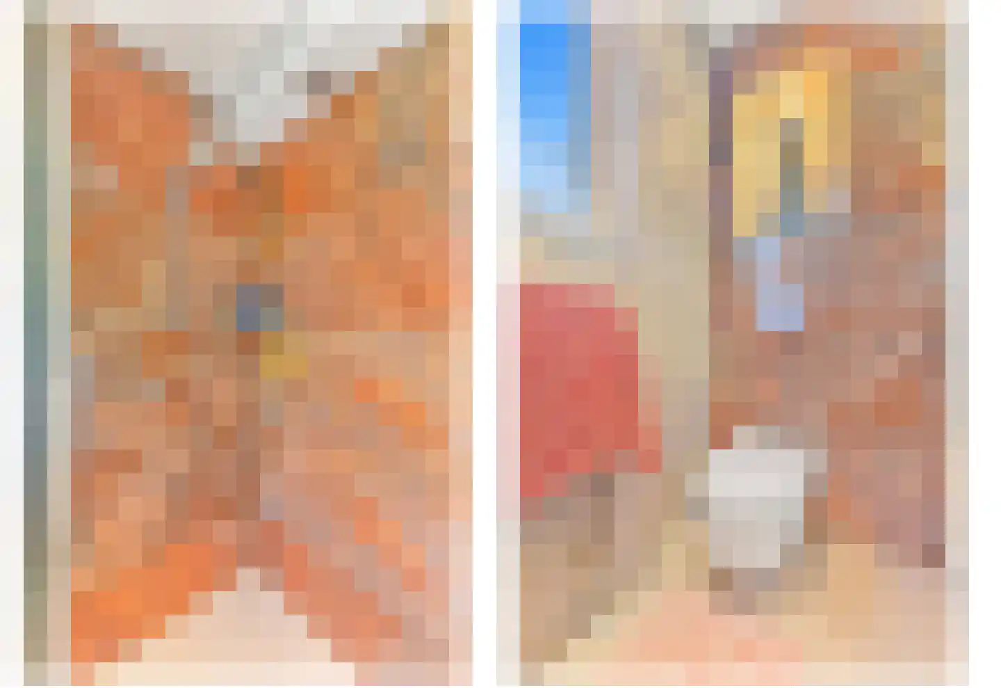 Raad van Europalaan 43 Delft thumbnail 34