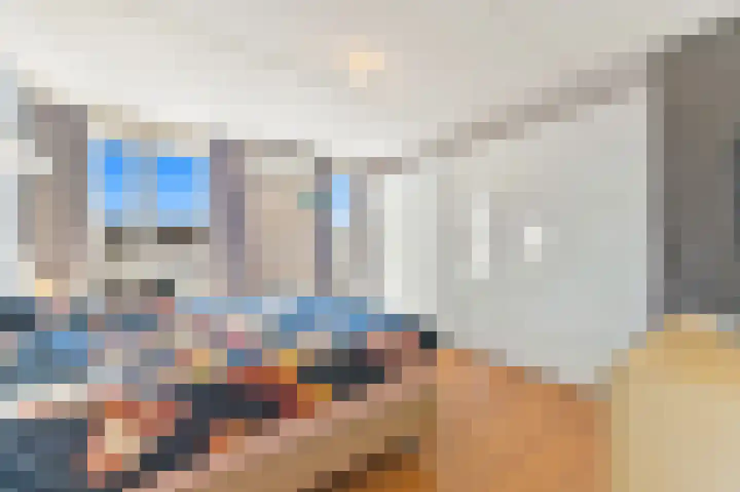 Raad van Europalaan 43 Delft thumbnail 35