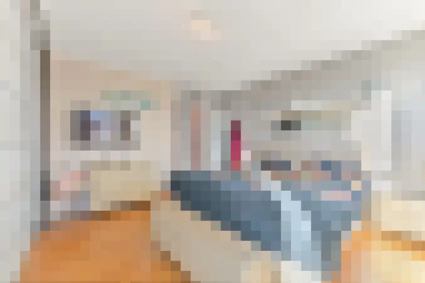 Raad van Europalaan 43 Delft thumbnail 36