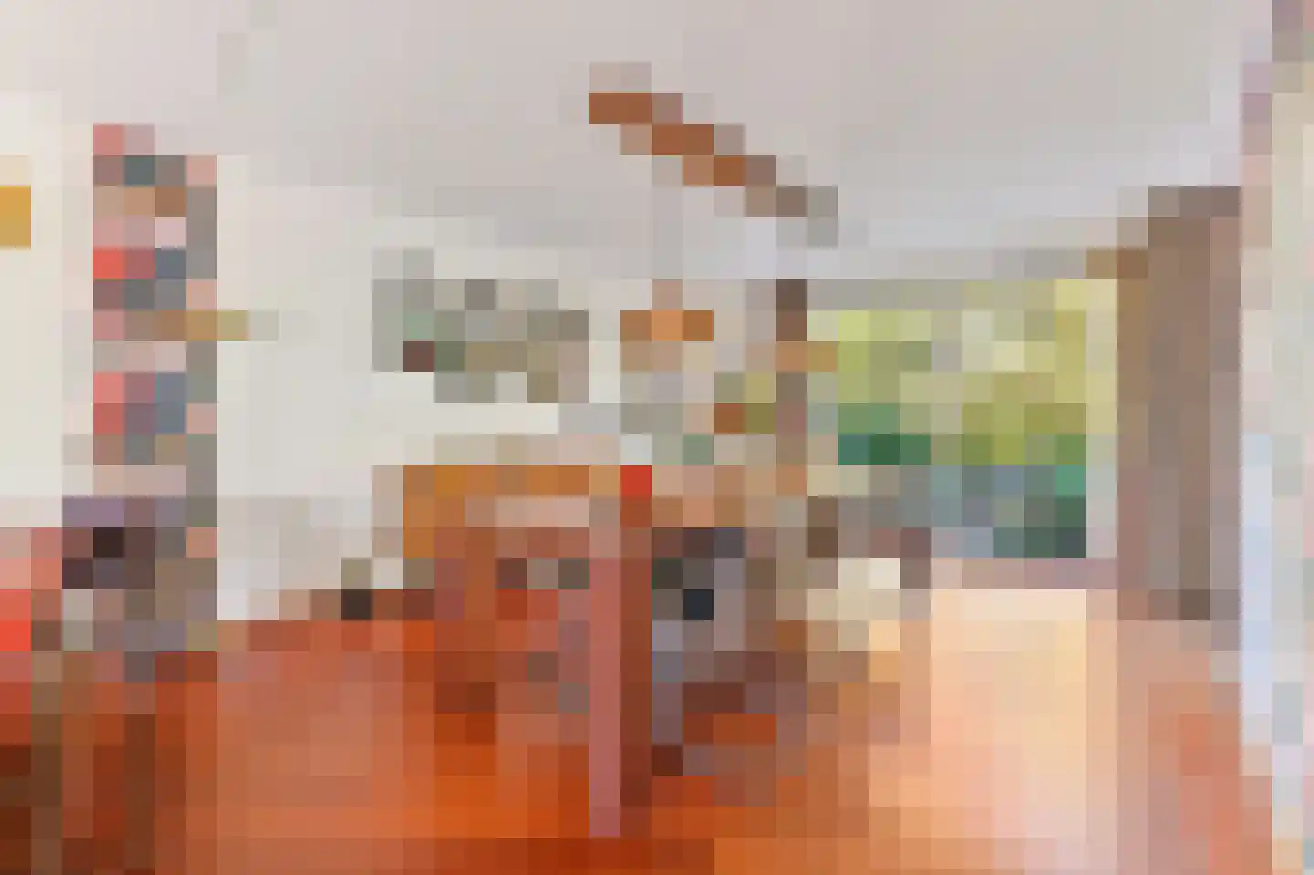 Raad van Europalaan 43 Delft thumbnail 9