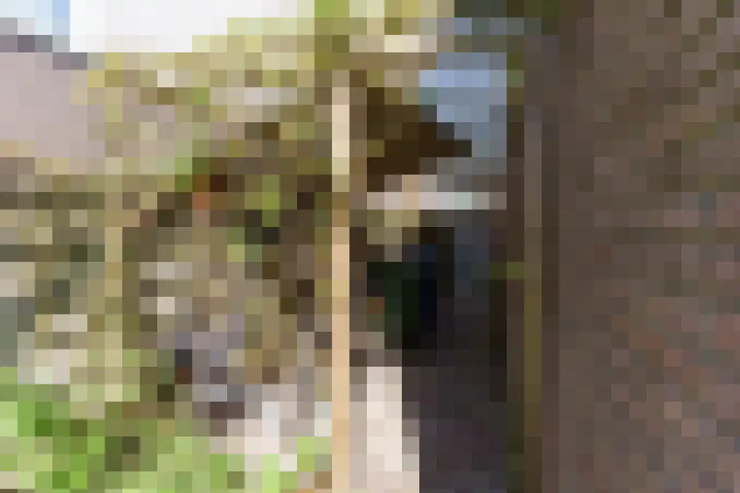 Raad van Europalaan 76 Delft thumbnail 14