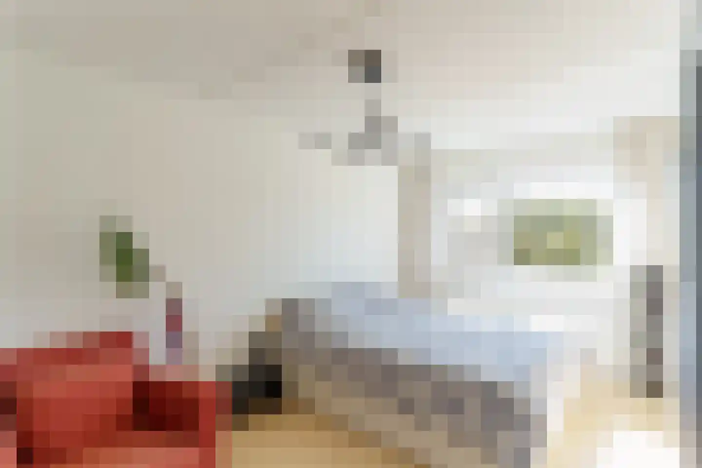 Raad van Europalaan 76 Delft thumbnail 21