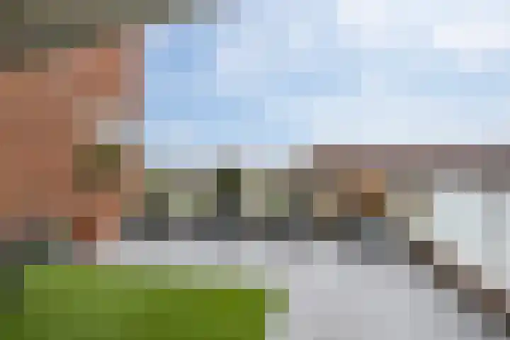 Raad van Europastraat 43 's-Gravenzande thumbnail 10
