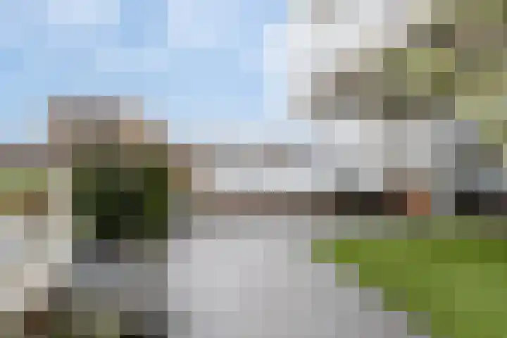 Raad van Europastraat 43 's-Gravenzande thumbnail 12