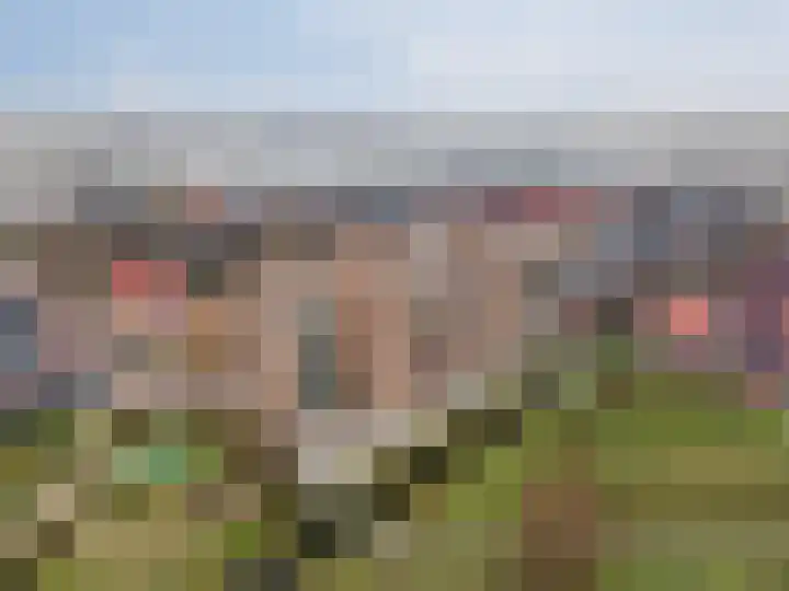 Raad van Europastraat 43 's-Gravenzande thumbnail 43