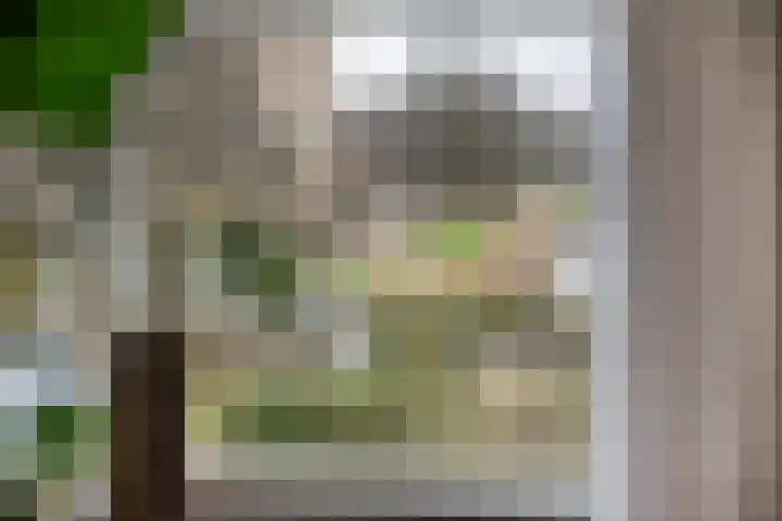 Raad van Europastraat 43 's-Gravenzande thumbnail 7