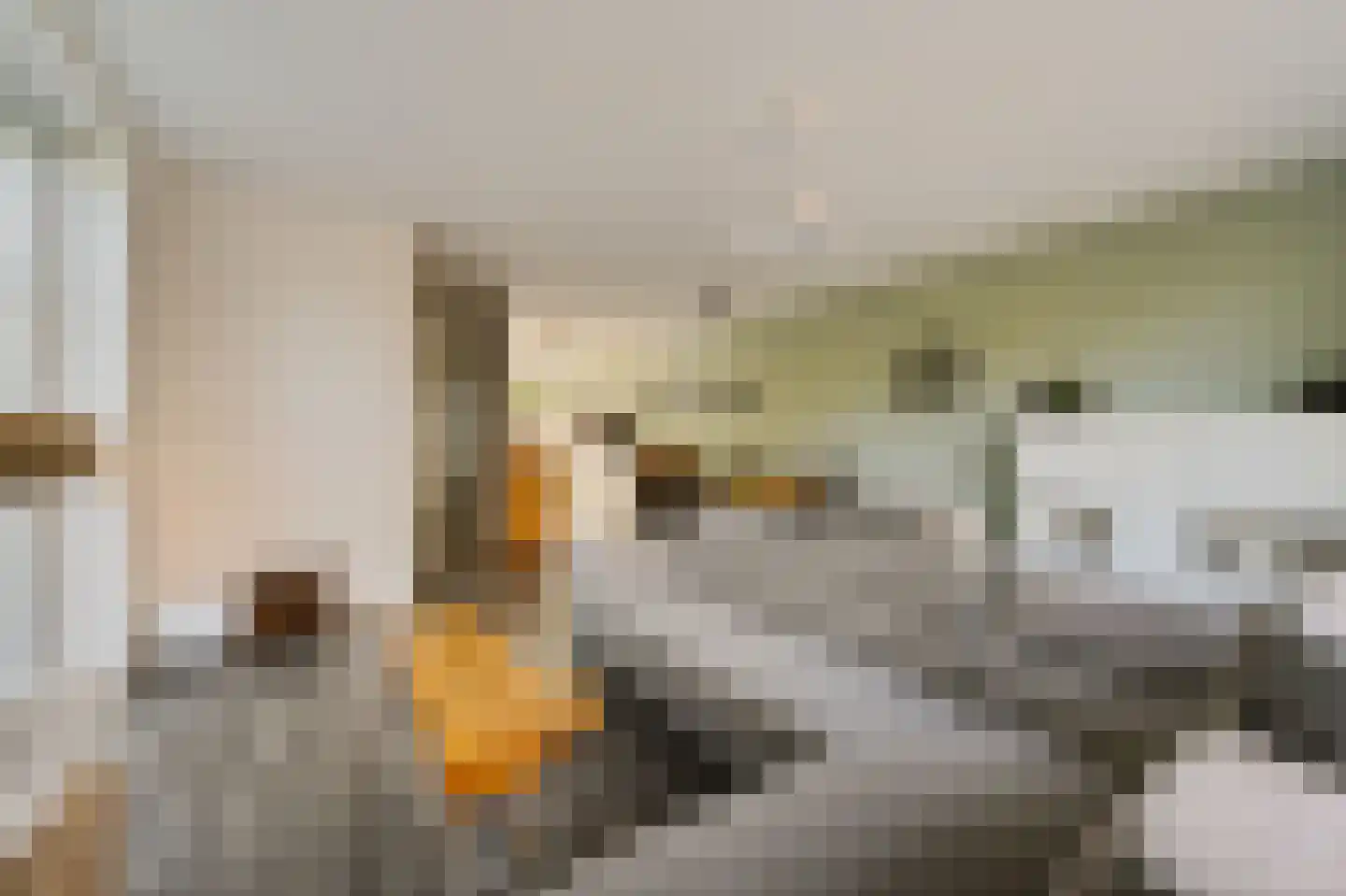 Raad van Europastraat 44 's-Gravenzande thumbnail 10