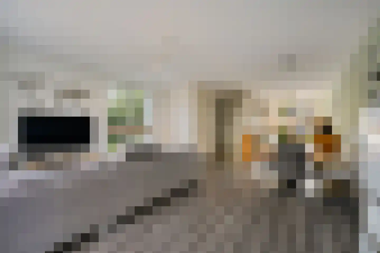 Raad van Europastraat 44 's-Gravenzande thumbnail 11