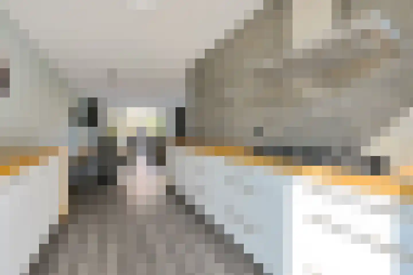 Raad van Europastraat 44 's-Gravenzande thumbnail 12