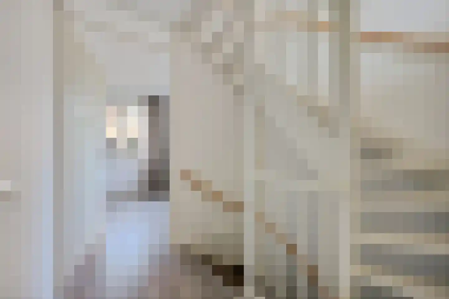 Raad van Europastraat 44 's-Gravenzande thumbnail 19