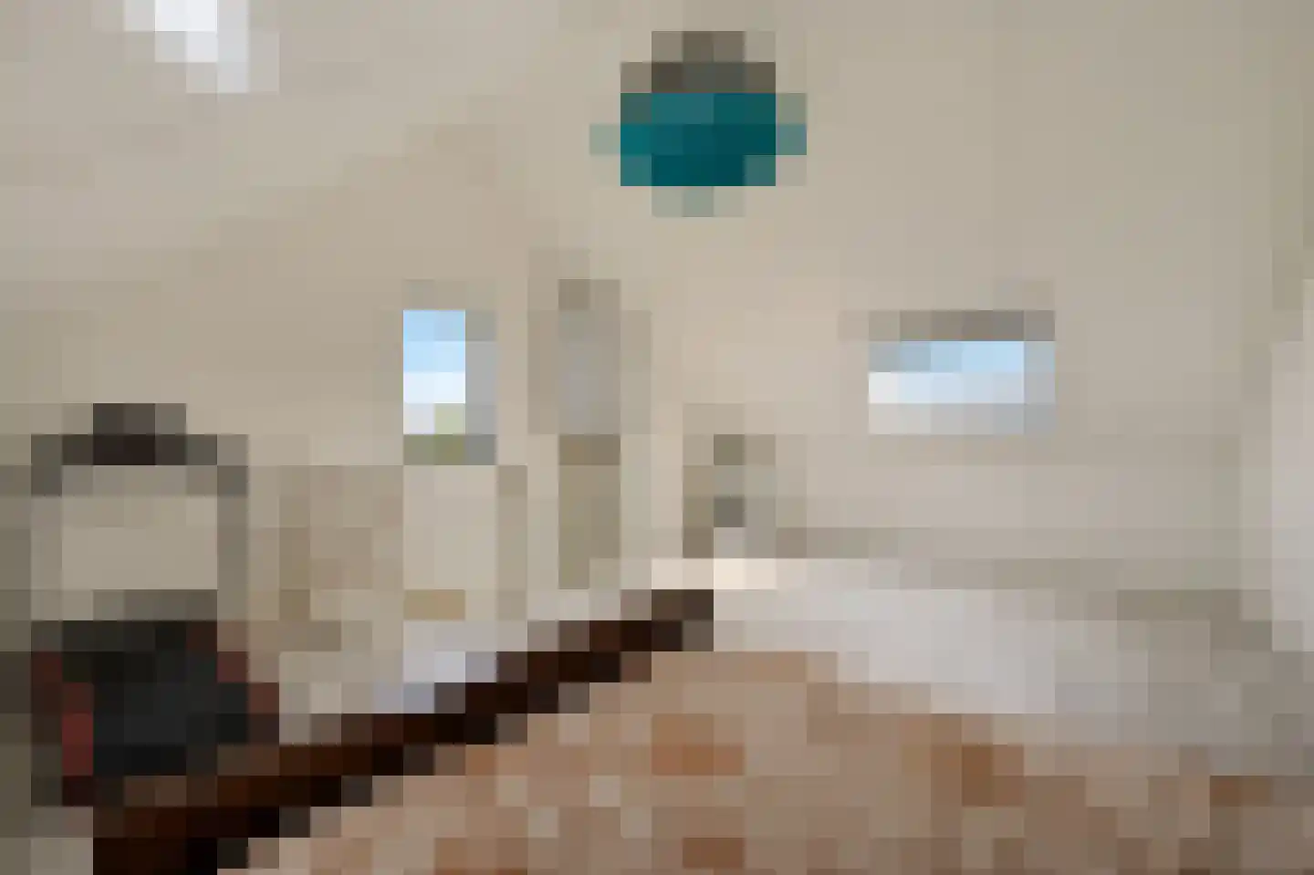 Raad van Europastraat 44 's-Gravenzande thumbnail 22