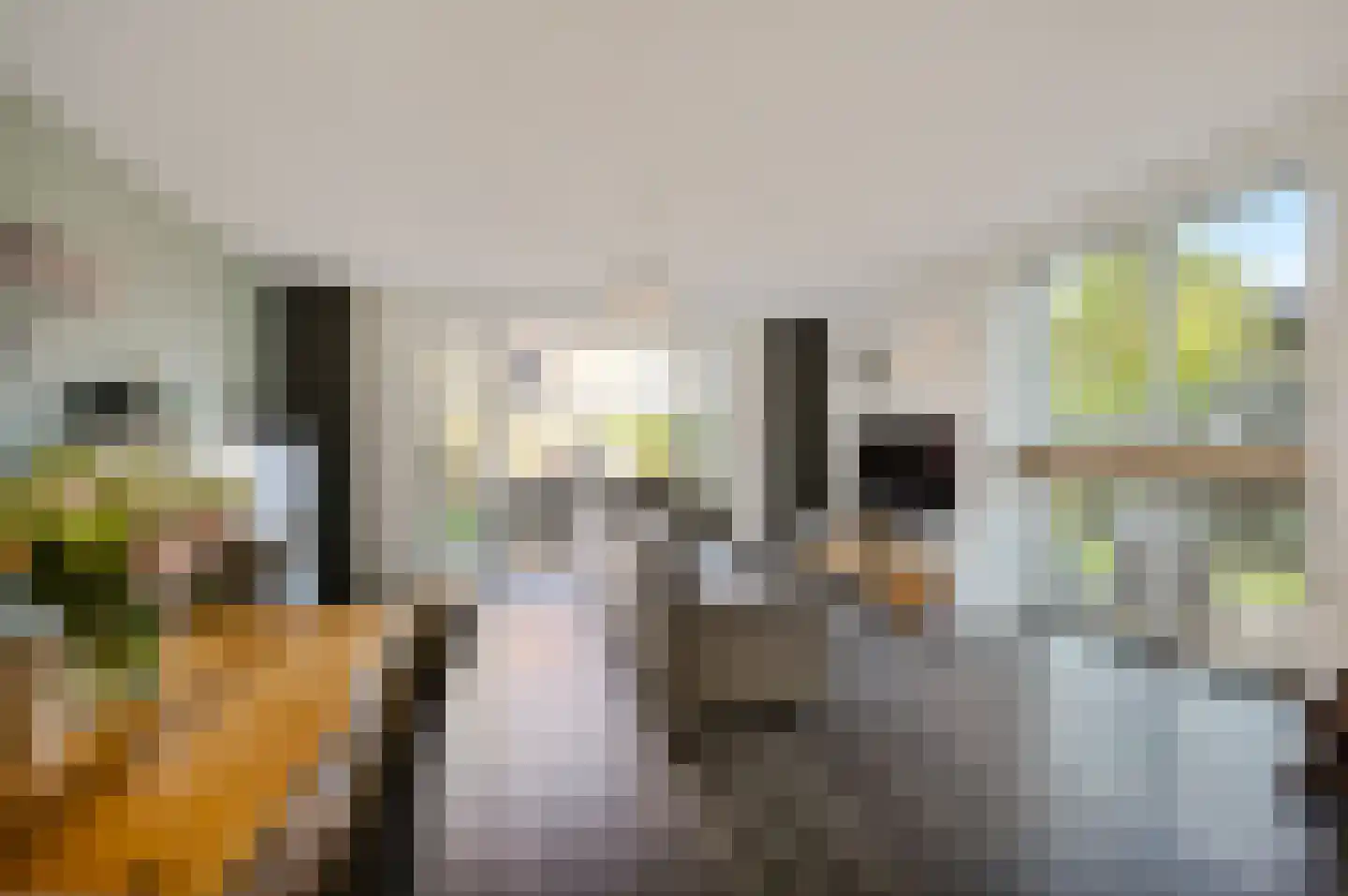 Raad van Europastraat 44 's-Gravenzande thumbnail 8