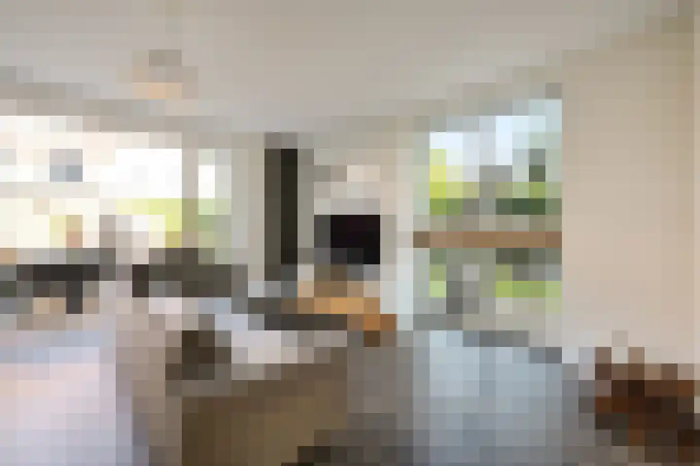 Raad van Europastraat 44 's-Gravenzande thumbnail 9
